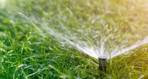 Hogy zajlik az öntözőrendszer karbantartás? öntözőrendszer karbantartás