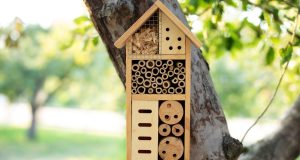 Rovarhotel: A kert hasznos lakói számára készített szállás rovarhotel