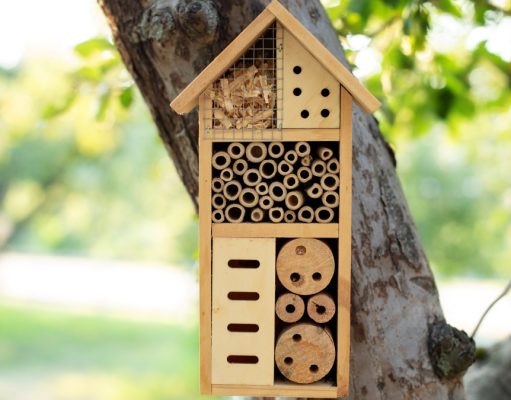 Rovarhotel: A kert hasznos lakói számára készített szállás rovarhotel