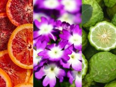 Egy illat, ami a tengerpartra repít: Bahia bahia-vernarancs-verbena-bergamott1